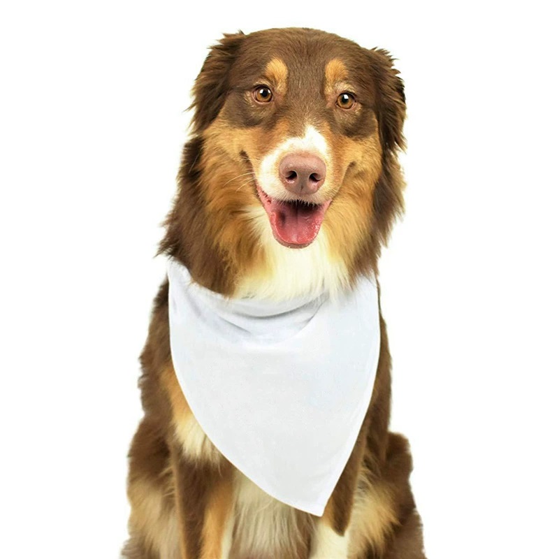 Bandana Blank White - 소형, 중형, 대형견용 흰색 폴리에스터 블랭크
